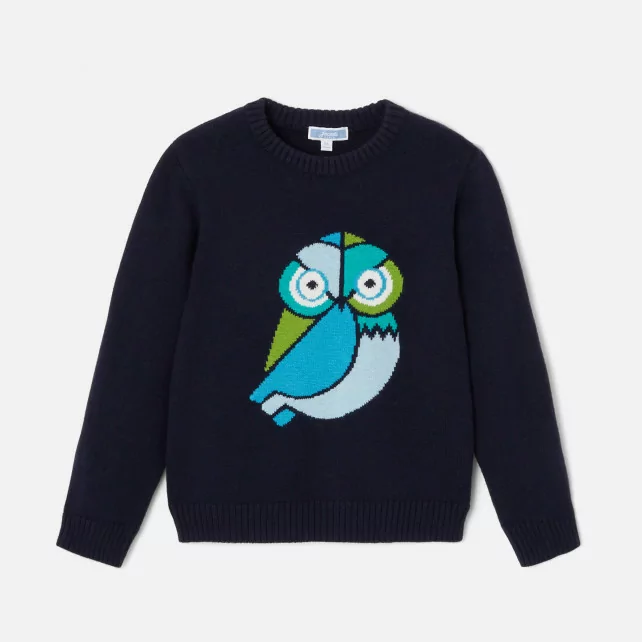 Boy intarsia owl jumper