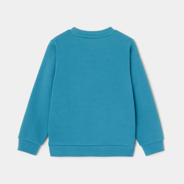 Boy fleece sweatshirt