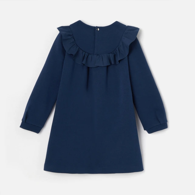 Girl long sleeve dress