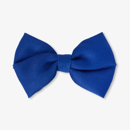 Girl big bow hair clip 